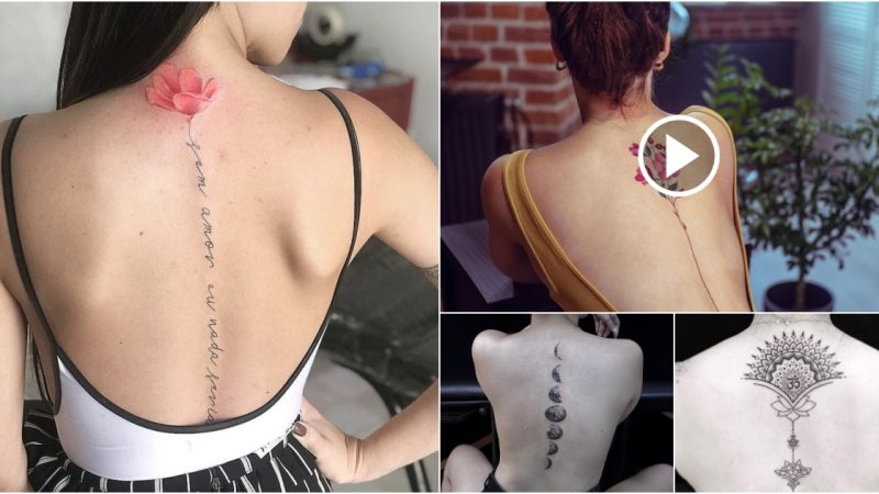 More than 50 unique creative spine tattoo designs like never before