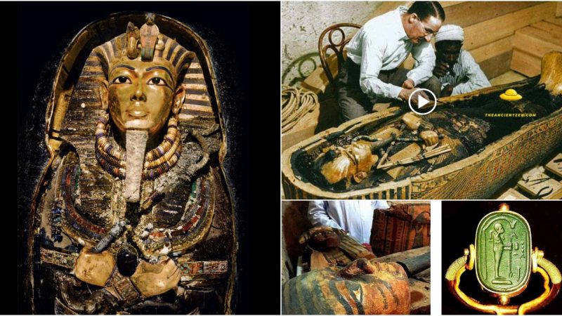 Archaeologists discovered a mysterious extraterrestrial ring in Tutankhamun’s tomb.