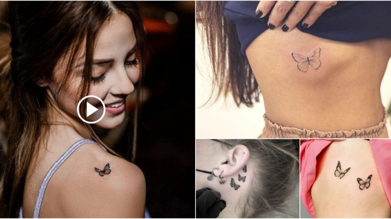 23+ little butterfly tattoo designs