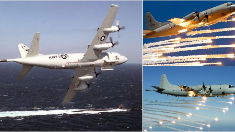 P-3 Orion: Silent Sentinel of the Oceans