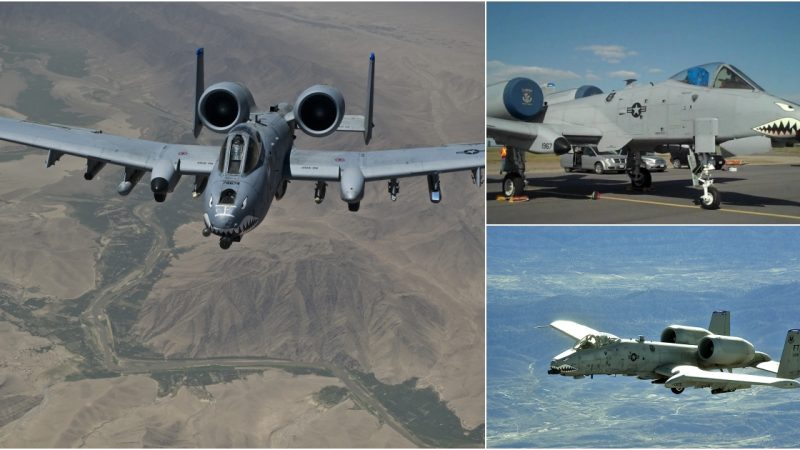 Unleashing Havoc: A-10 Thunderbolt II Warthog’s Dominance in Close Air Support Through Raw Power