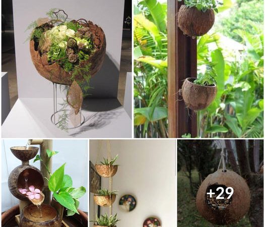Unveiling the Enchanting World of Coconut Shell Decor: Elevate Your Home’s Aesthetic!