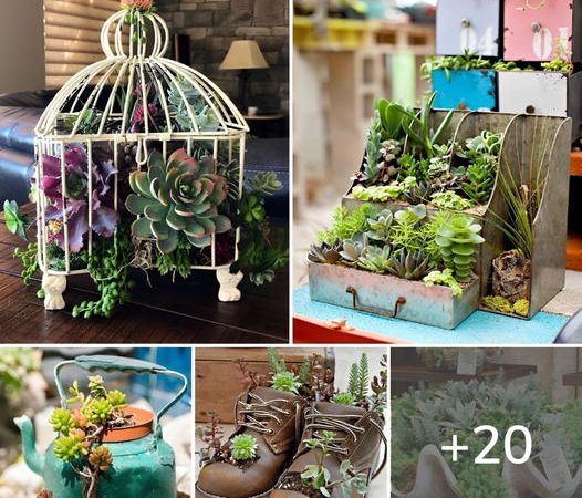 20 Whimsical DIY Succulent Planter Ideas to Elevate Your Home Decor