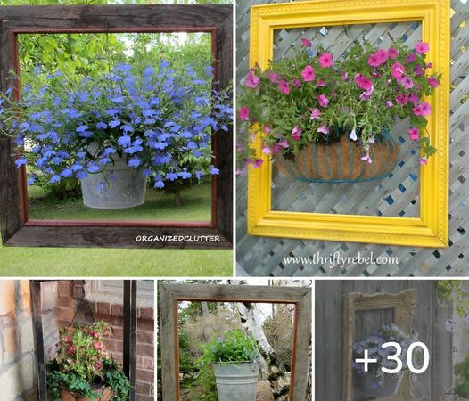Unlocking Creativity: Inspiring DIY Framed Flower Gardens for Your Outdoor Oasis