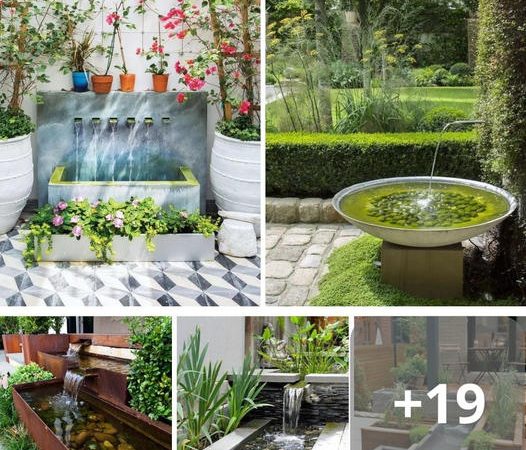 Enhance Your Outdoor Oasis with 37 Contemporary Water Features