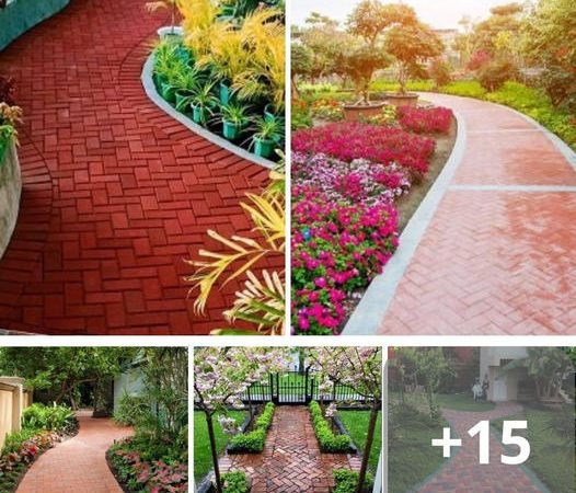 36 Enchanting Brick Walkway Ideas to Elevate Your Outdoor Oasis