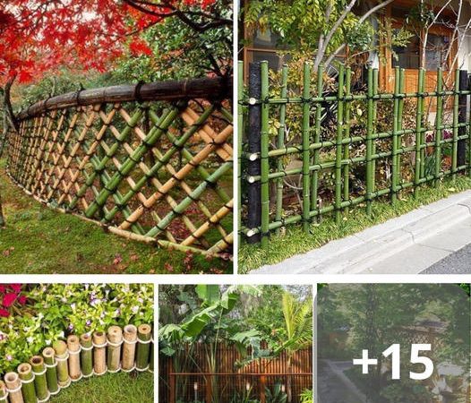39 Budget-Friendly Bamboo Fence Ideas: Craft Beauty and Savings with Ease