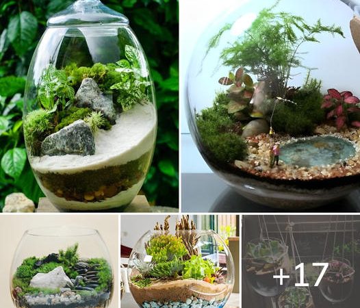 17 Creative Ways to Cultivate Succulents in Wine Glasses