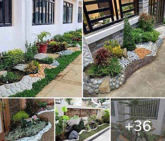 Elevate Your Property: 36 Stunning Landscaping Ideas for Picture-Perfect Fence Lines