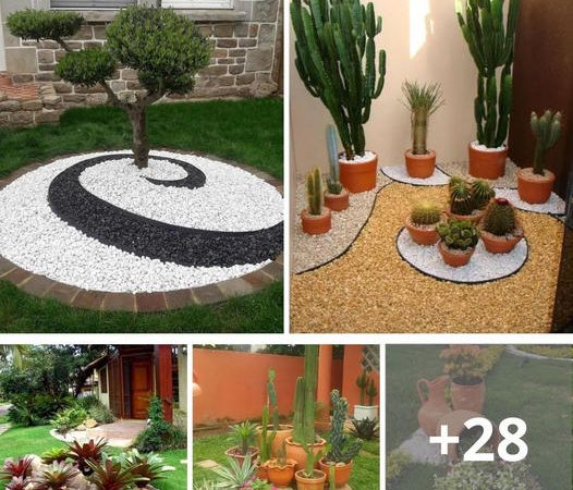 Creating Your Dream Garden in a Small Backyard: 10 Ingenious Ideas