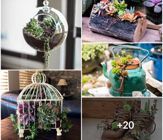 Embrace Nature with 20 Enchanting DIY Succulent Planter Creations