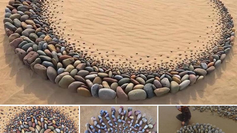 Stone Waves: Hypnotic Land Art Arranged by Artist on Ocean Shores